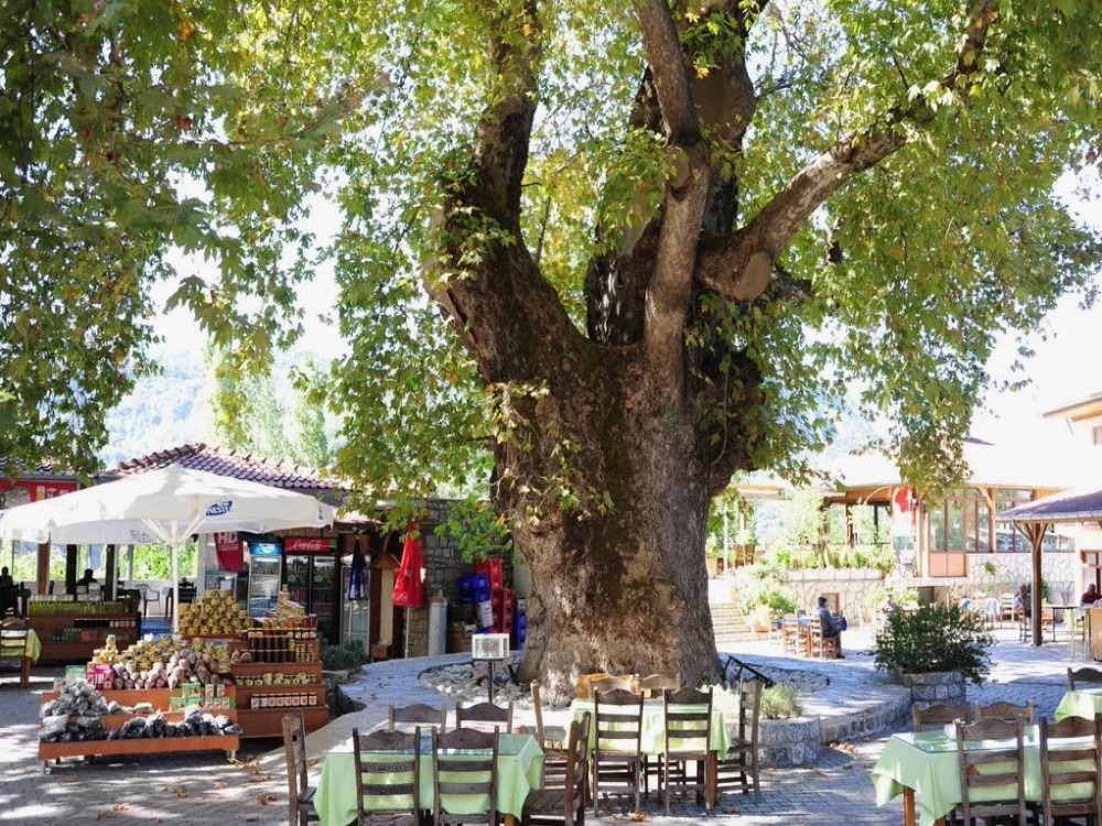 Marmaris Private Jeep Safari: Journey to natural beauties | ®ExcursionMania