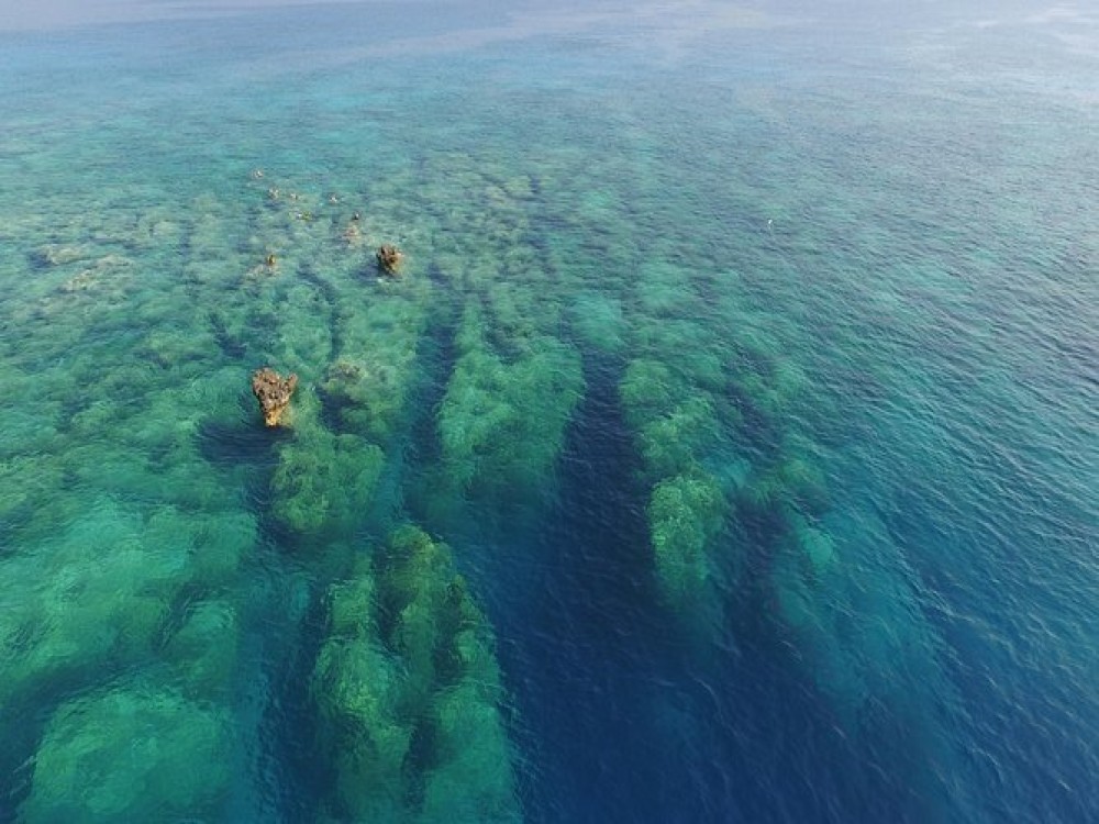Scuba Dive in Kalkan: Discover the Best of the Aegean Sea | ®ExcursionMania