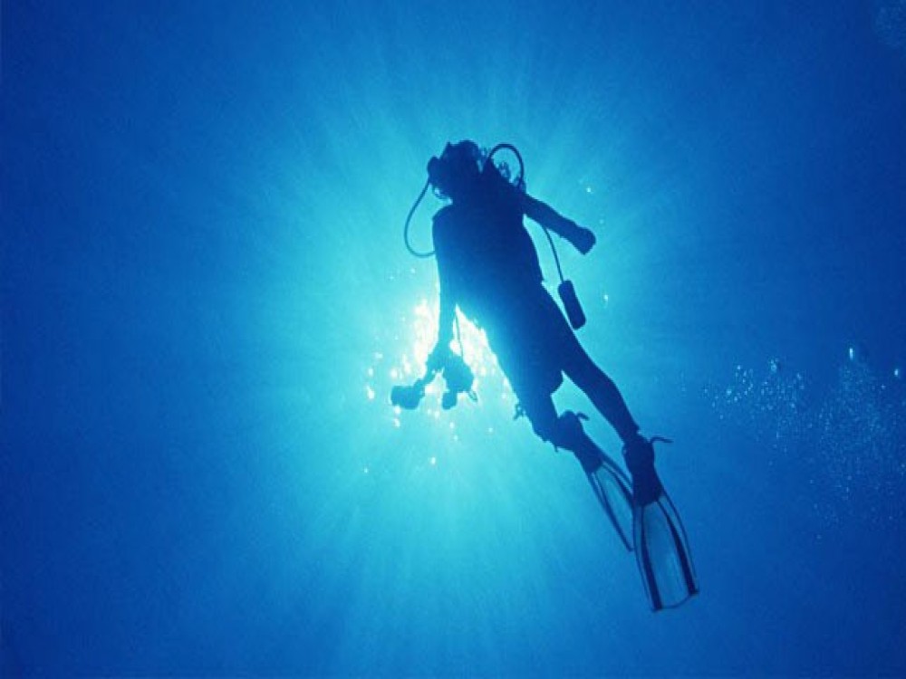 Scuba Dive in Kalkan: Discover the Best of the Aegean Sea | ®ExcursionMania
