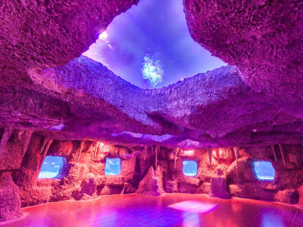 From City of Side: Antalya Aquarium Tour | ®ExcursionMania