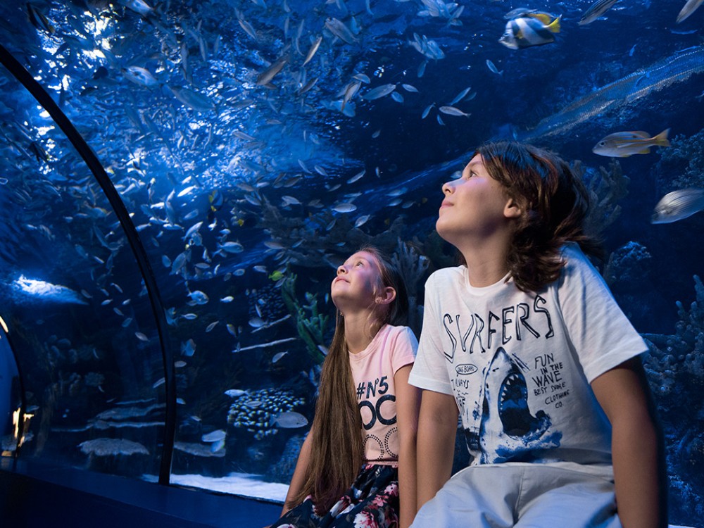 From City of Side: Antalya Aquarium Tour | ®ExcursionMania
