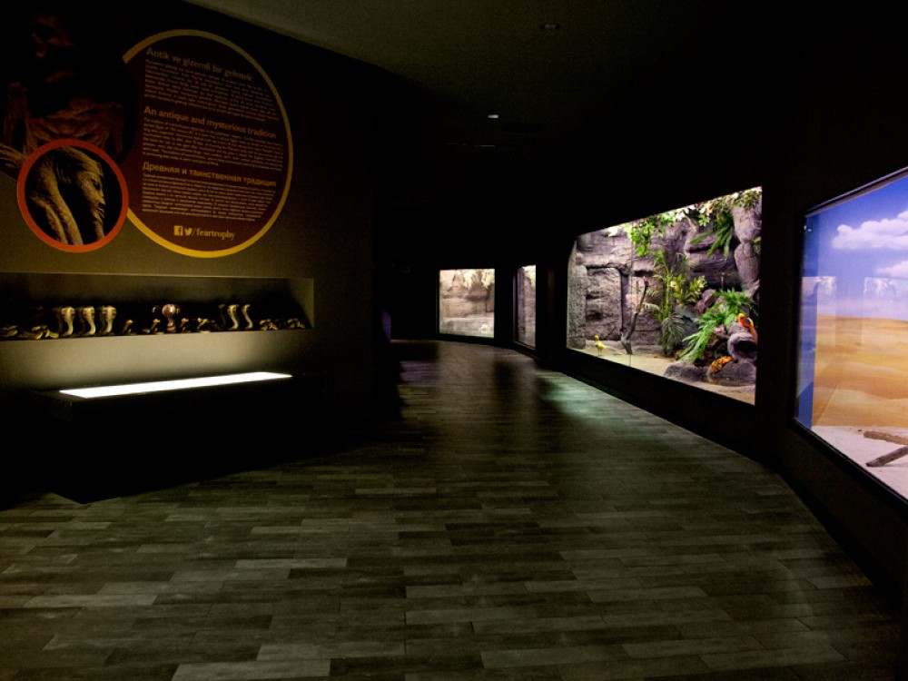 From City of Side: Antalya Aquarium Tour | ®ExcursionMania