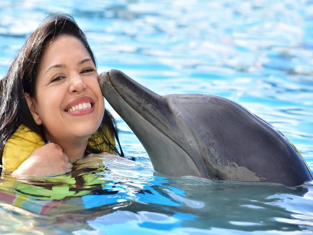 Belek Dolphin Show Tour With Transfers | ®ExcursionMania