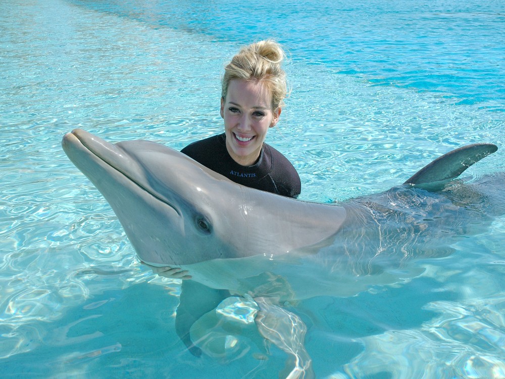 Belek Dolphin Show Tour With Transfers | ®ExcursionMania