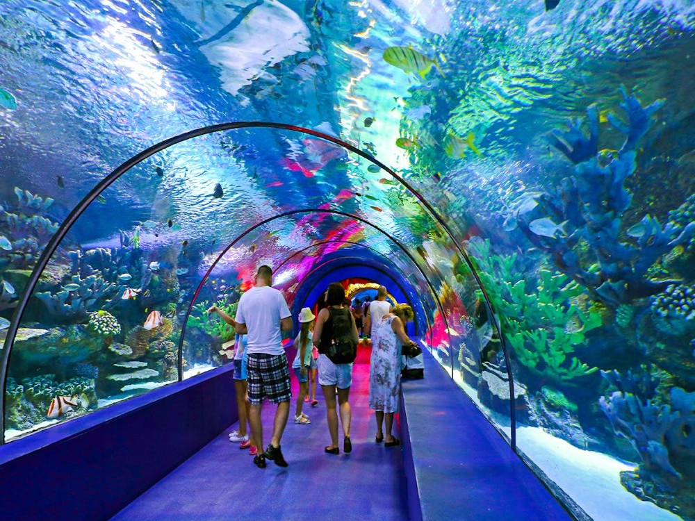 From Belek: Aquarium Tour with Hotel Transfer | ®ExcursionMania