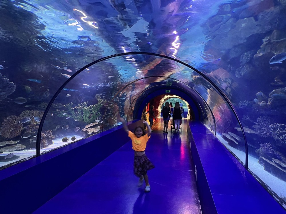 From Belek: Aquarium Tour with Hotel Transfer | ®ExcursionMania