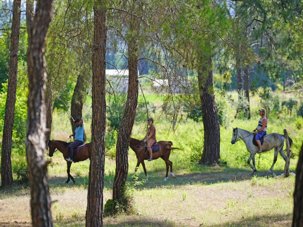 Kemer Horseback Adventure: Ride Through Natures Charm | ®ExcursionMania