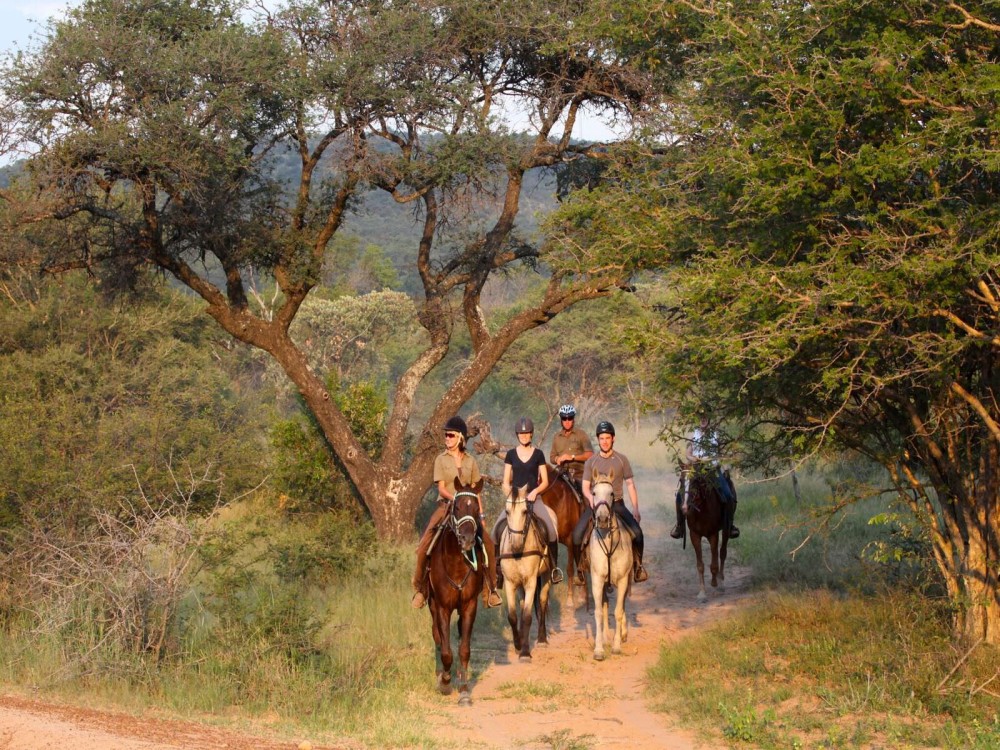 Marmaris: Horse Riding Adventure for All Skill Levels | ®ExcursionMania