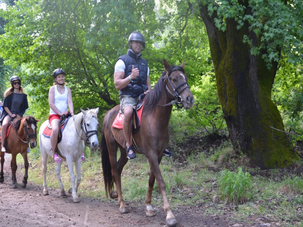 Marmaris: Horse Riding Adventure for All Skill Levels | ®ExcursionMania