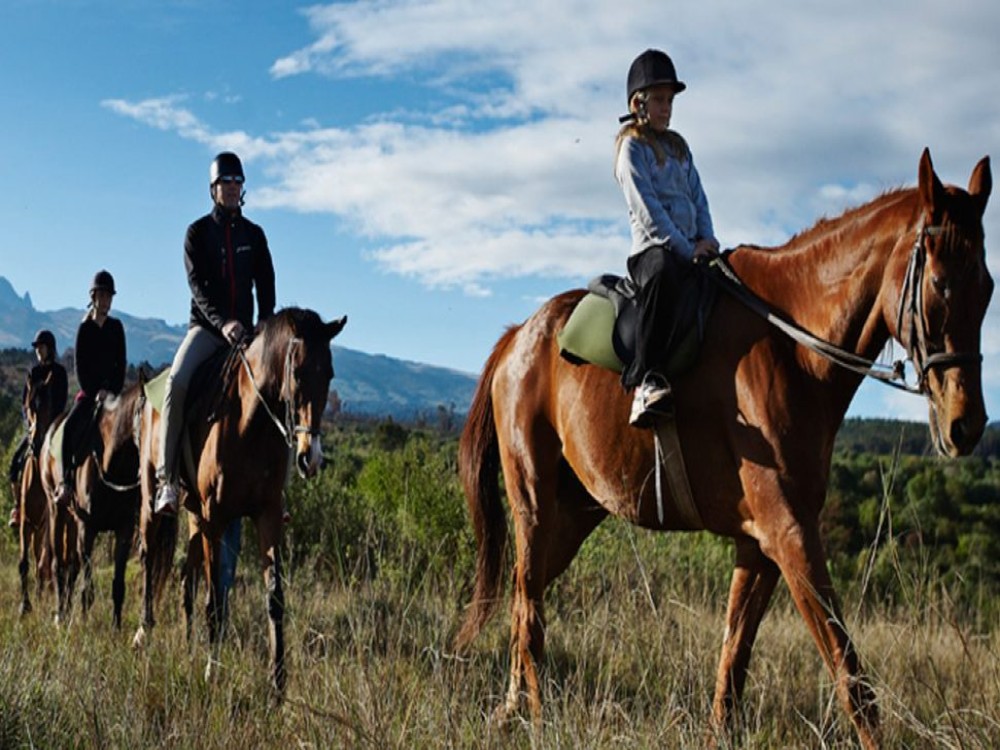 Icmeler Forest Horseback Adventure - Ride Through Natures Beauty | ®ExcursionMania