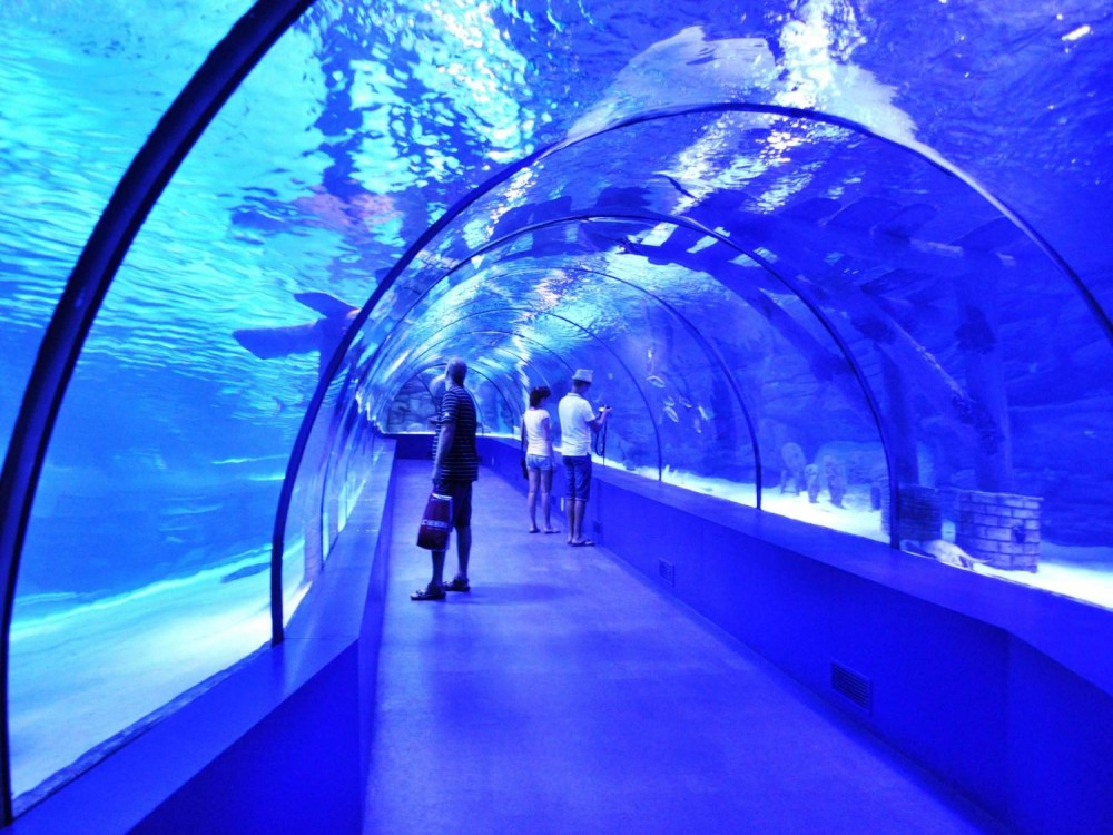 From Kemer: Antalya Aquarium Tour with Hotel Transfer | ®ExcursionMania