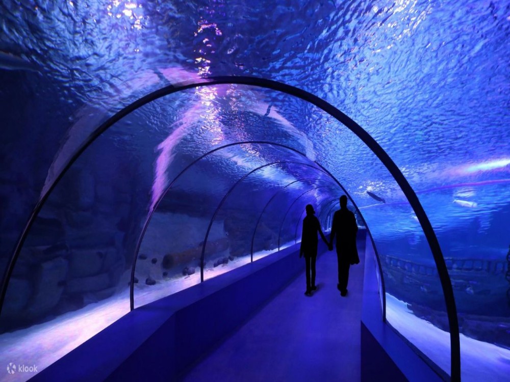 From Kemer: Antalya Aquarium Tour with Hotel Transfer | ®ExcursionMania