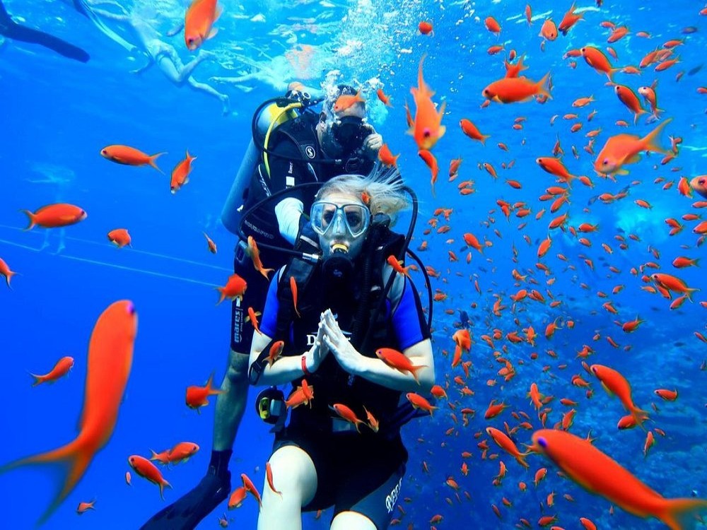 Sharm El Sheikh Scuba Diving Tour: Discover Red Sea | ®ExcursionMania