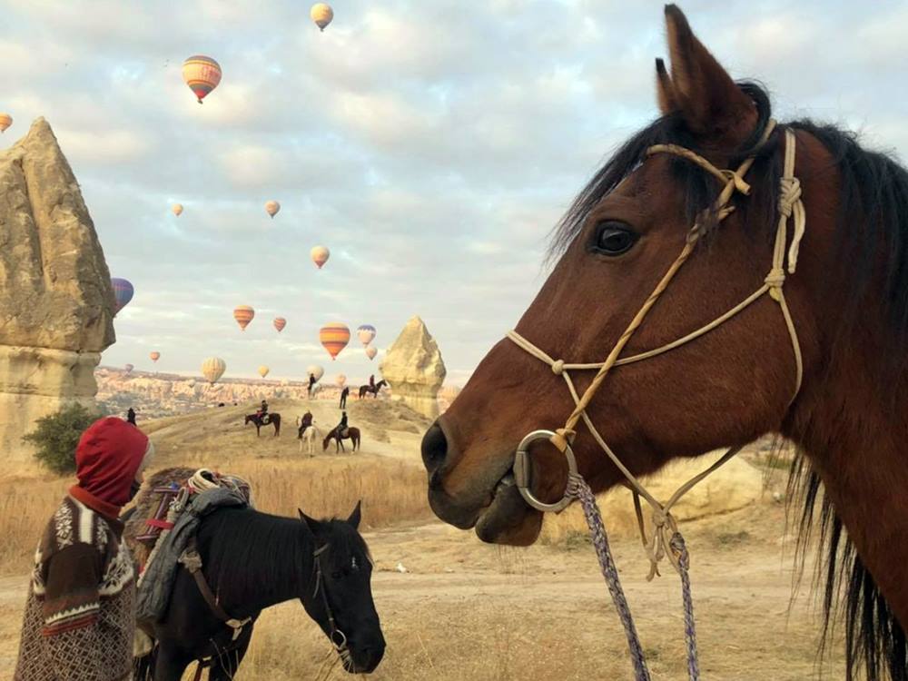 Horse Back Riding Tour In Rose Valley with Fairy Chimneys | ®ExcursionMania