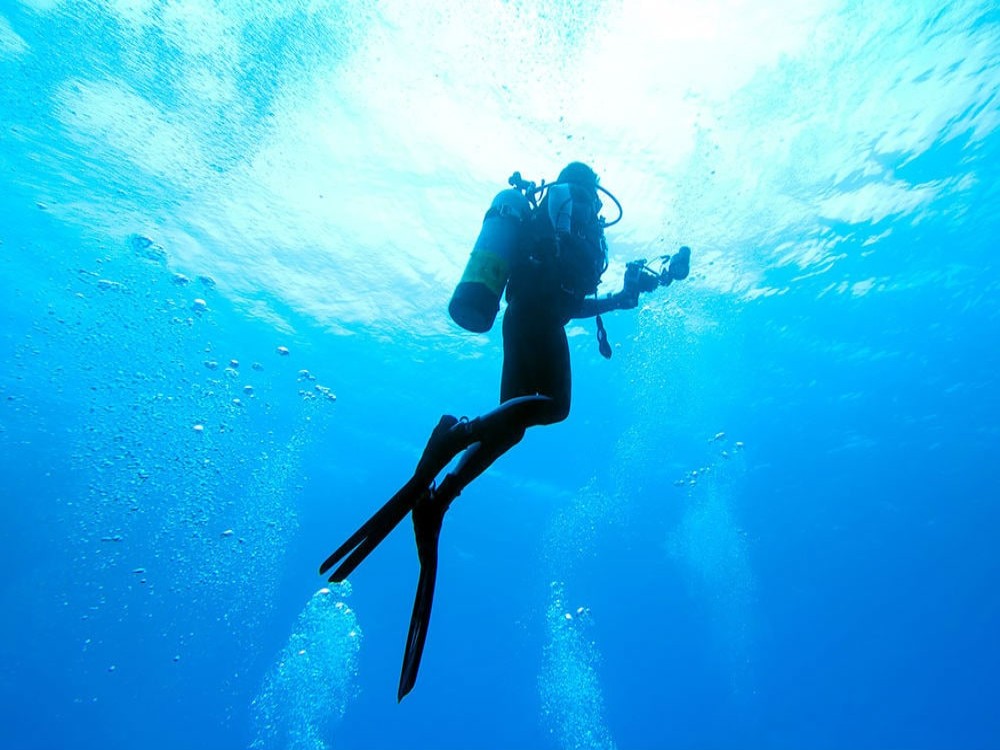 Side Scuba Diving Tour: Explore, Dive, Relish in Crystal Waters | ®ExcursionMania
