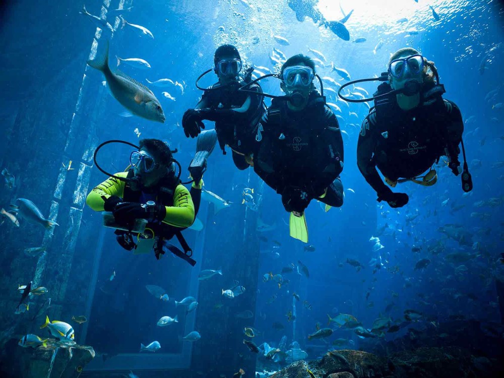 Side Scuba Diving Tour: Explore, Dive, Relish in Crystal Waters | ®ExcursionMania