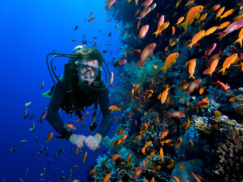 Side Scuba Diving Tour: Explore, Dive, Relish in Crystal Waters | ®ExcursionMania