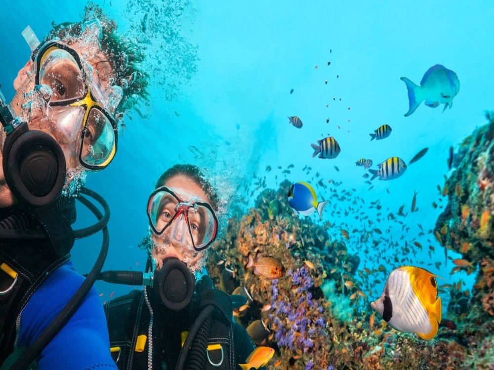 Side Scuba Diving Tour: Explore, Dive, Relish in Crystal Waters | ®ExcursionMania