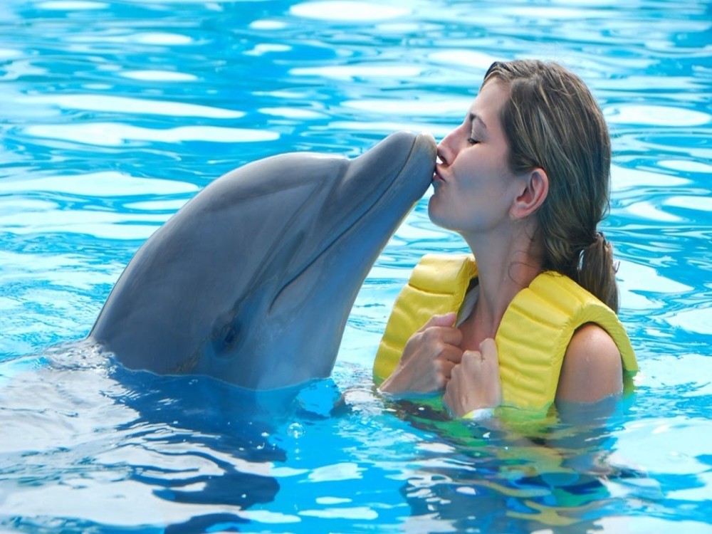 Kemer Dolphinarium : Swimming with Dolphins & Hotel Transfer | ®ExcursionMania