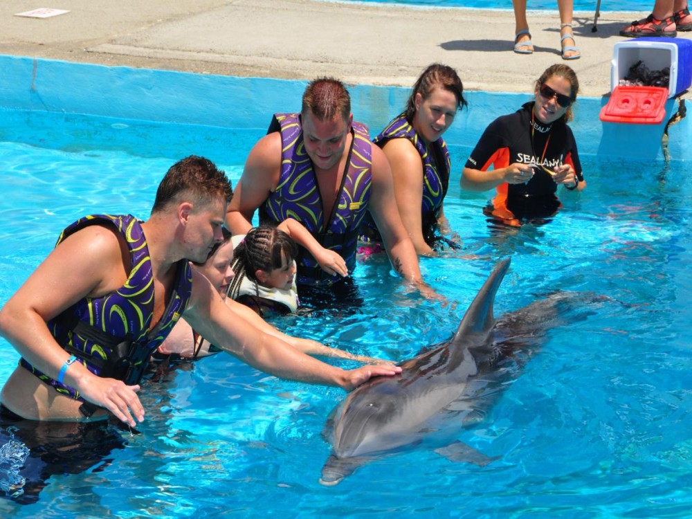 Kemer Dolphinarium : Swimming with Dolphins & Hotel Transfer | ®ExcursionMania