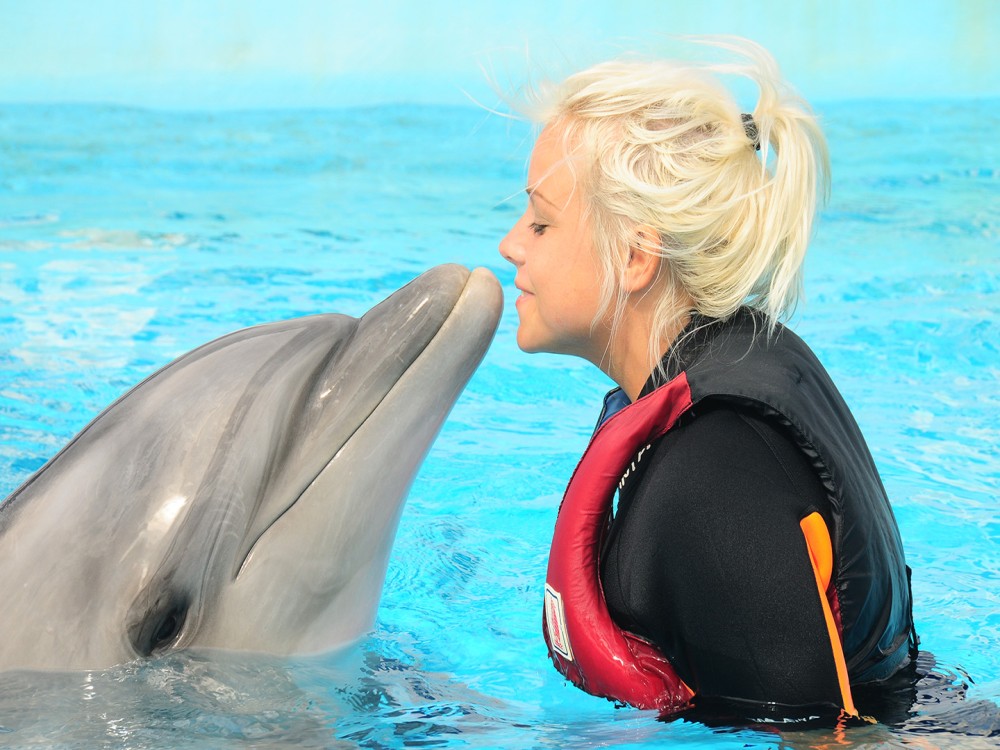 Kemer Dolphinarium : Swimming with Dolphins & Hotel Transfer | ®ExcursionMania