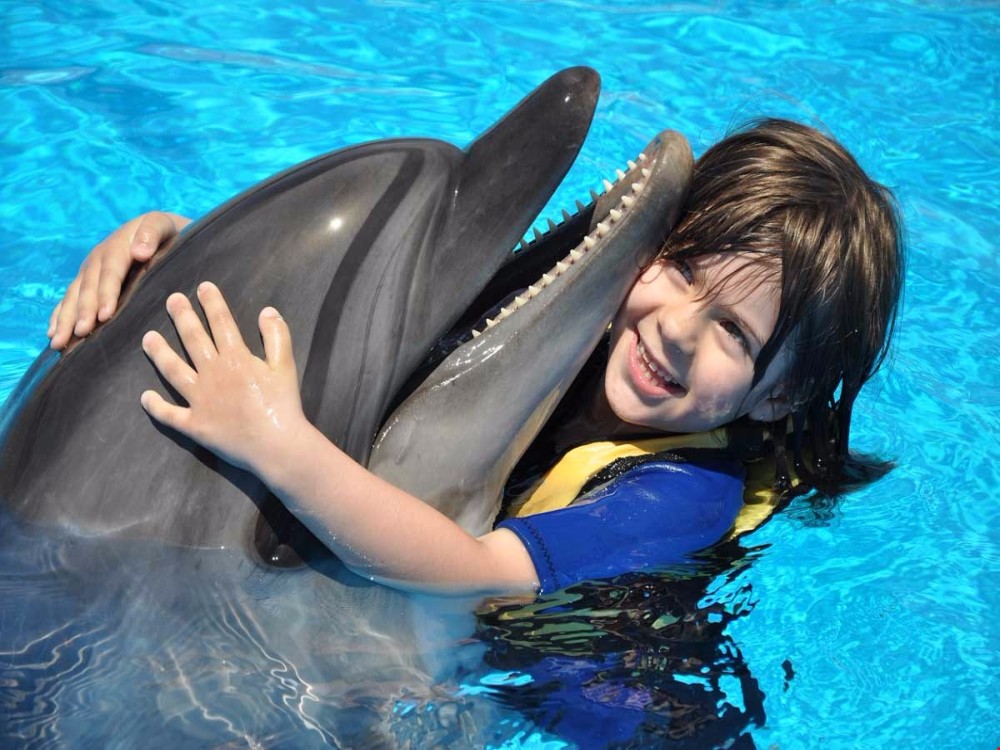 Kemer Dolphinarium : Swimming with Dolphins & Hotel Transfer | ®ExcursionMania