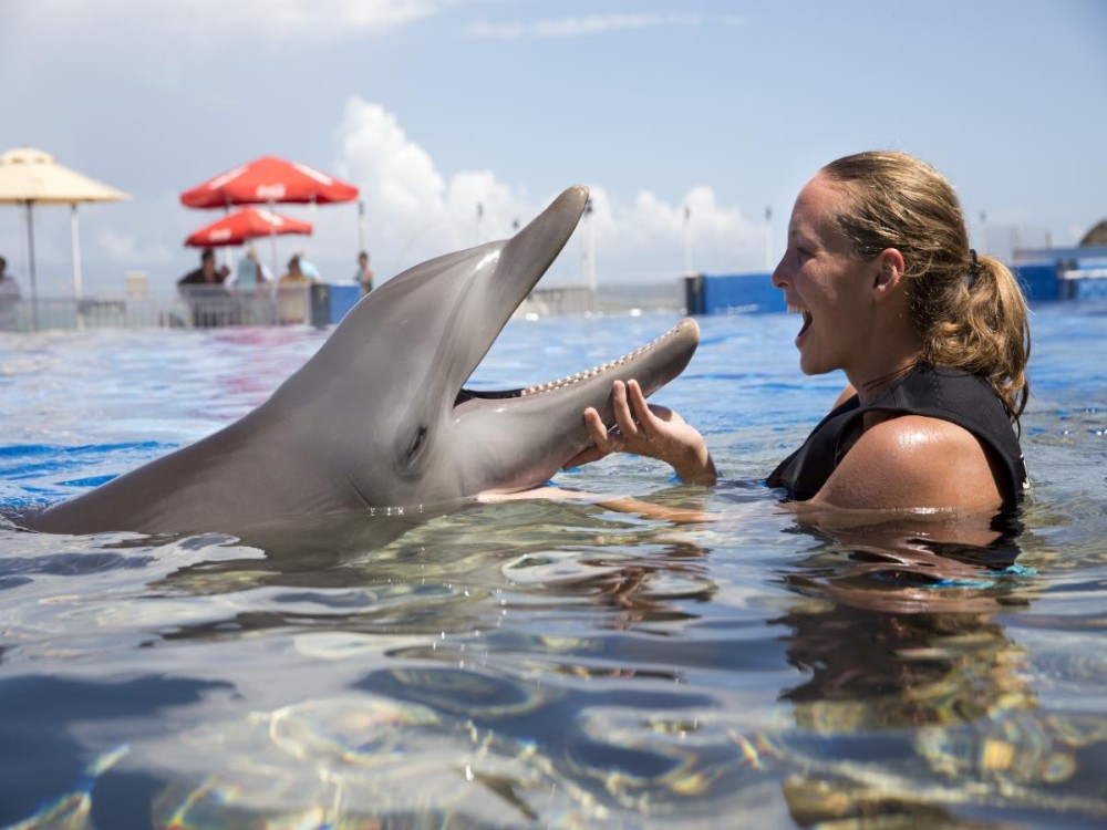 Kemer Dolphinarium : Swimming with Dolphins & Hotel Transfer | ®ExcursionMania