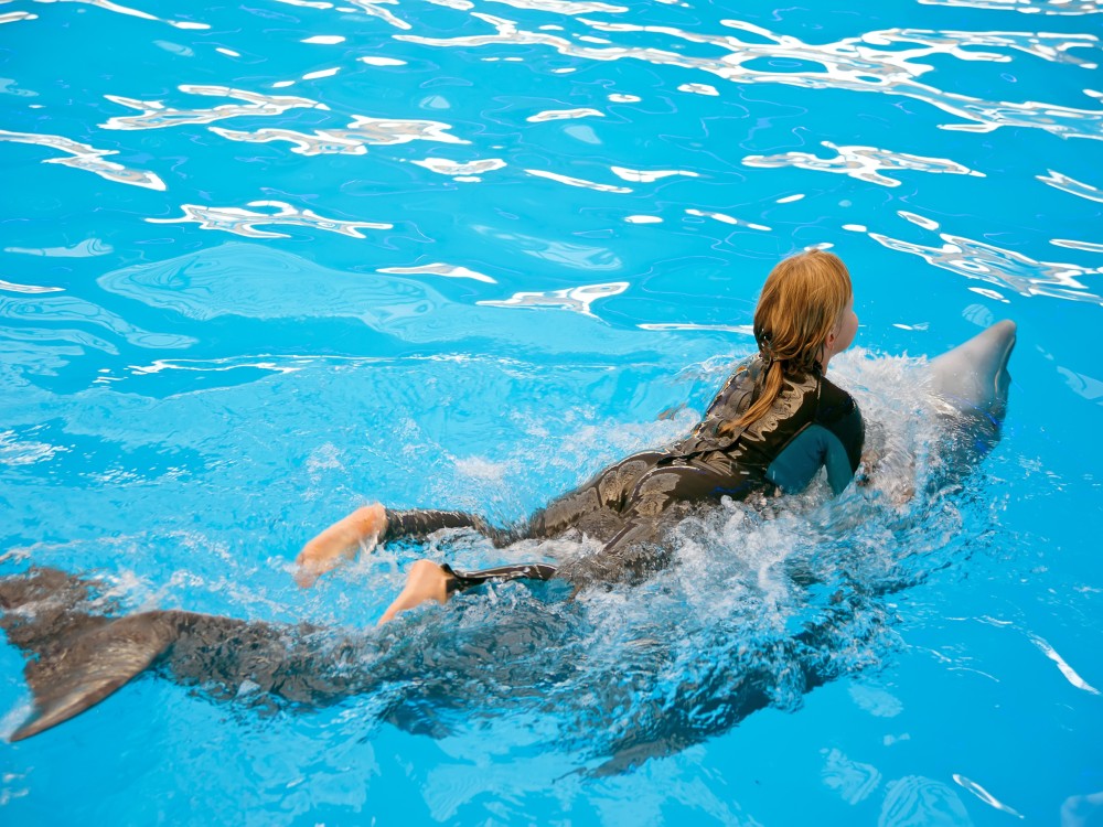 Kemer Dolphinarium : Swimming with Dolphins & Hotel Transfer | ®ExcursionMania