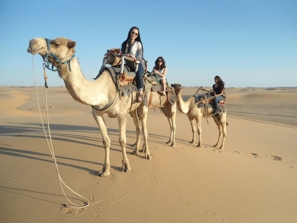 Sharm El Sheikh: Desert & Water Sports Adventure Day | ®ExcursionMania