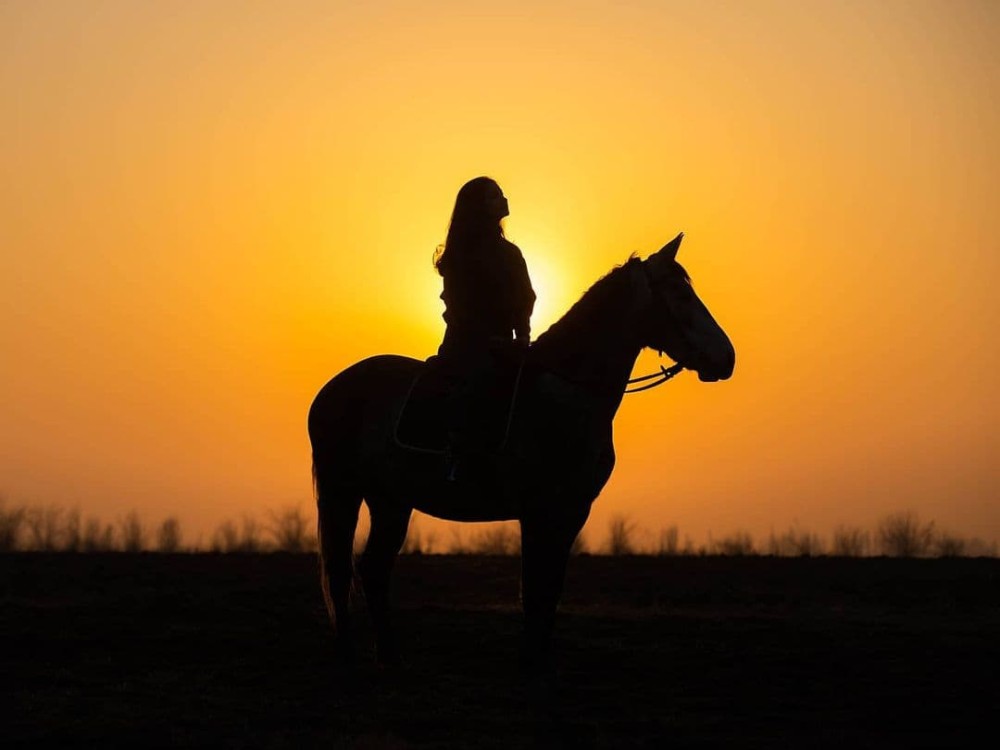 Marmaris Horse Riding Experience in the Forest w/Hotel Pickup | ®ExcursionMania