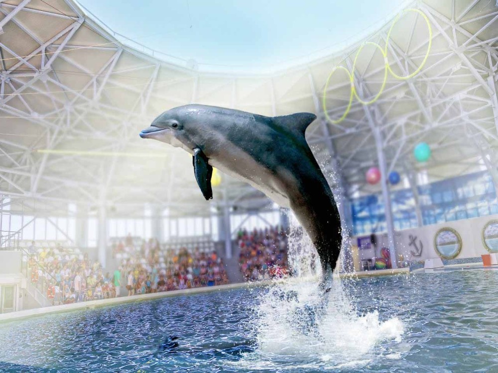 Kemer Dolphinarium : Dolphin Show & Hotel Transfer | ®ExcursionMania