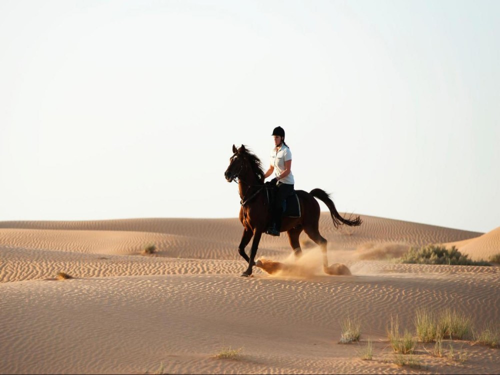 Dubai: Hot Air Balloon Camel Ride Desert Safari & More | ®ExcursionMania