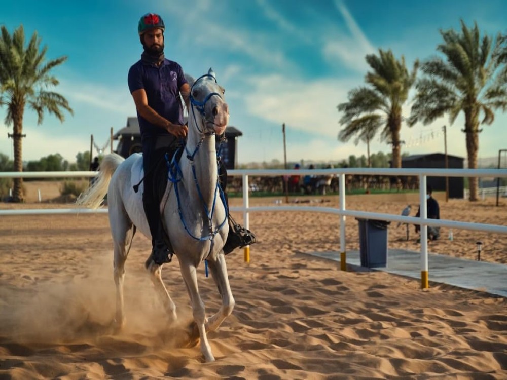 Dubai: Private Hot Air Balloon Tour Over the Dubai Desert | ®ExcursionMania