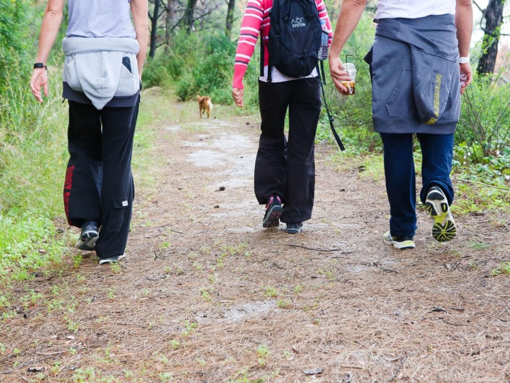 Hiking Filerimos  3 Hours  Sandwich Included | ®ExcursionMania