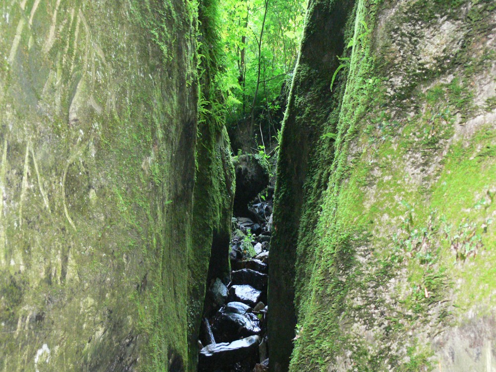 Hiking Filerimos  3 Hours  Sandwich Included | ®ExcursionMania