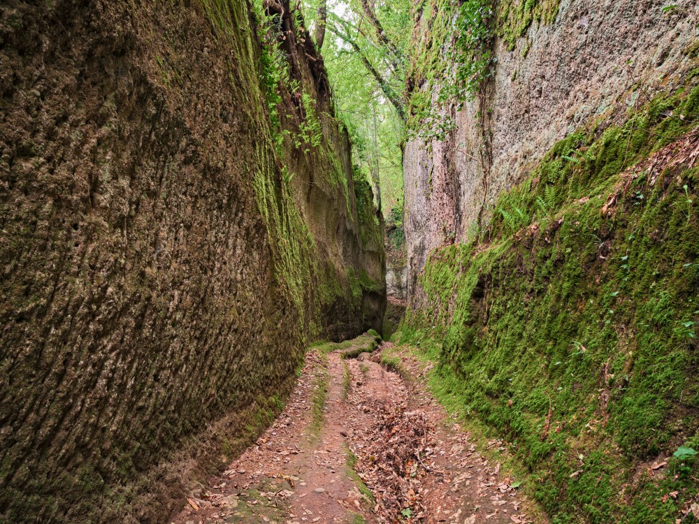 Hiking Filerimos  3 Hours  Sandwich Included | ®ExcursionMania