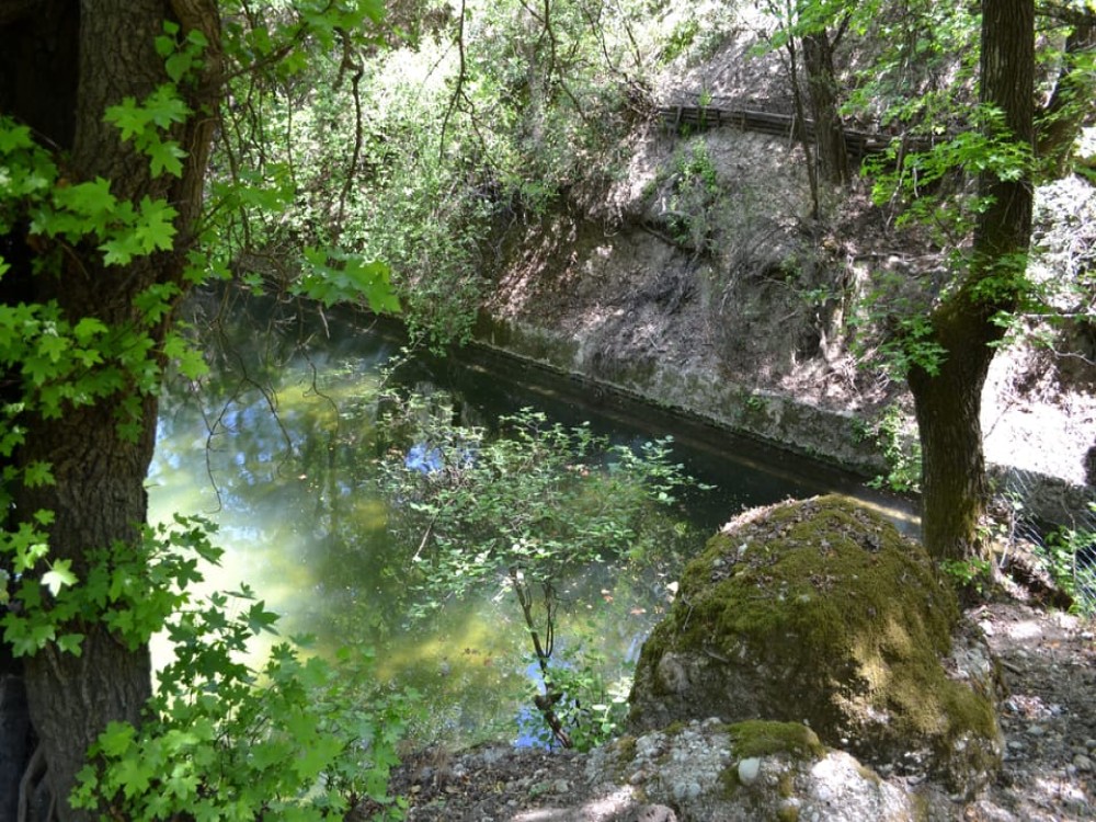 Rhodes: Filerimos, Butterfly Valley & Ancient Kamiros Tour | ®ExcursionMania
