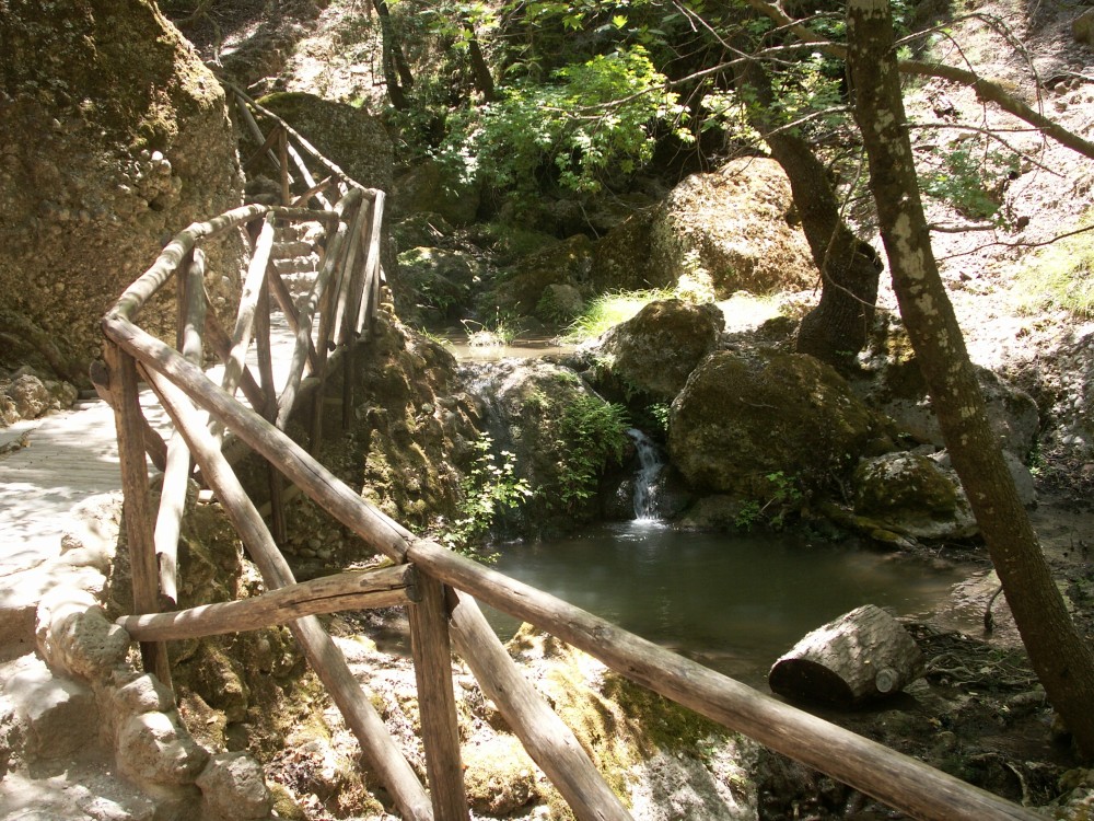 Rhodes: Filerimos, Butterfly Valley & Ancient Kamiros Tour | ®ExcursionMania