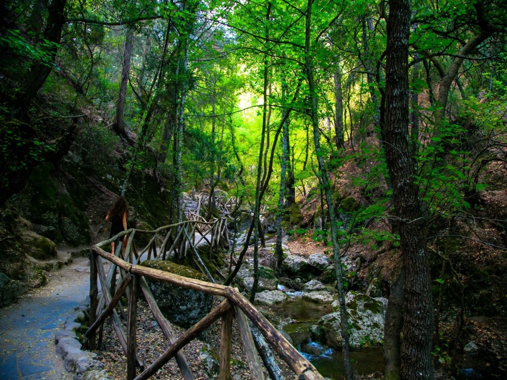 Rhodes: Filerimos hill and Butterflies Valley-Small Group | ®ExcursionMania