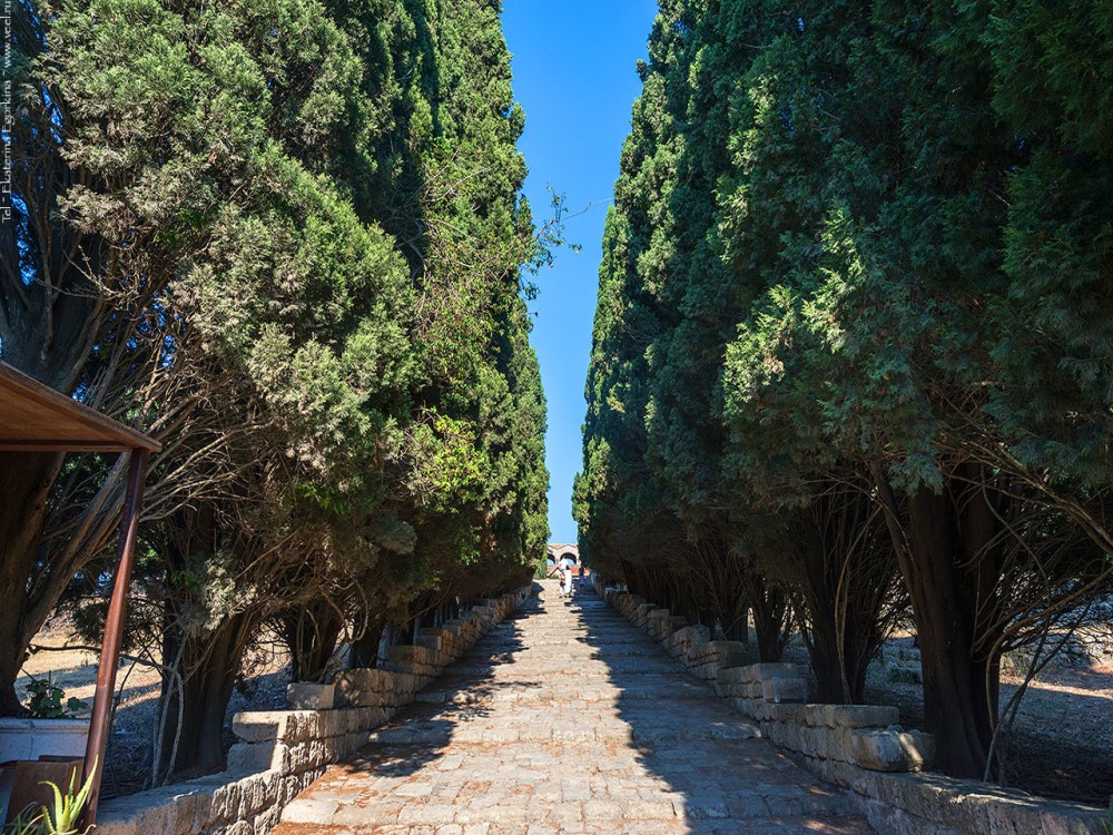 Rhodes: Filerimos hill and Butterflies Valley-Small Group | ®ExcursionMania
