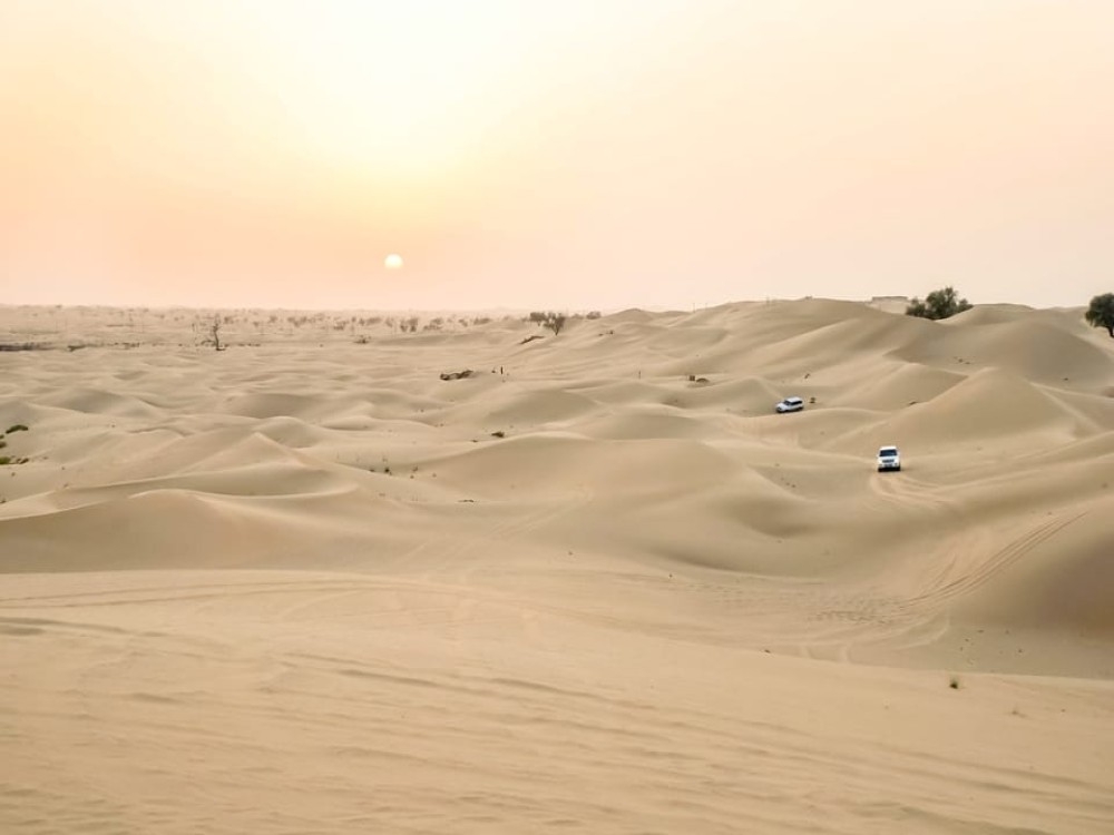Doha: Safari Camel Ride Sandboarding and Inland Sea Tour | ®ExcursionMania