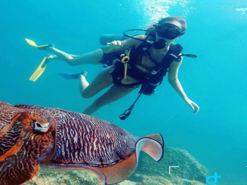 Fujairah: East Cost Tour, Snorkel with turtle & Scuba Diving | ®ExcursionMania
