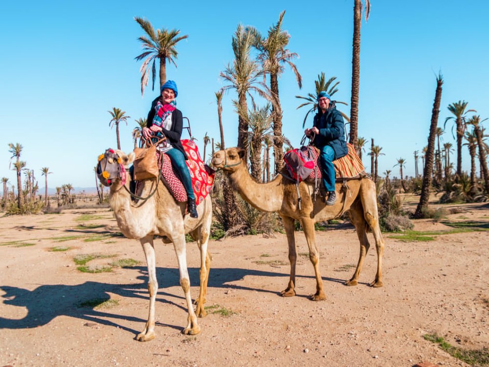 Marrakech: Quad Biking and Camel Experience Adventure in the Desert | ®ExcursionMania