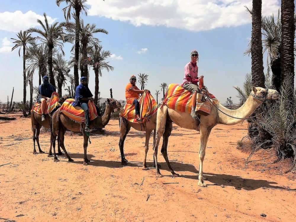 Marrakech: Quad Biking and Camel Experience Adventure in the Desert | ®ExcursionMania
