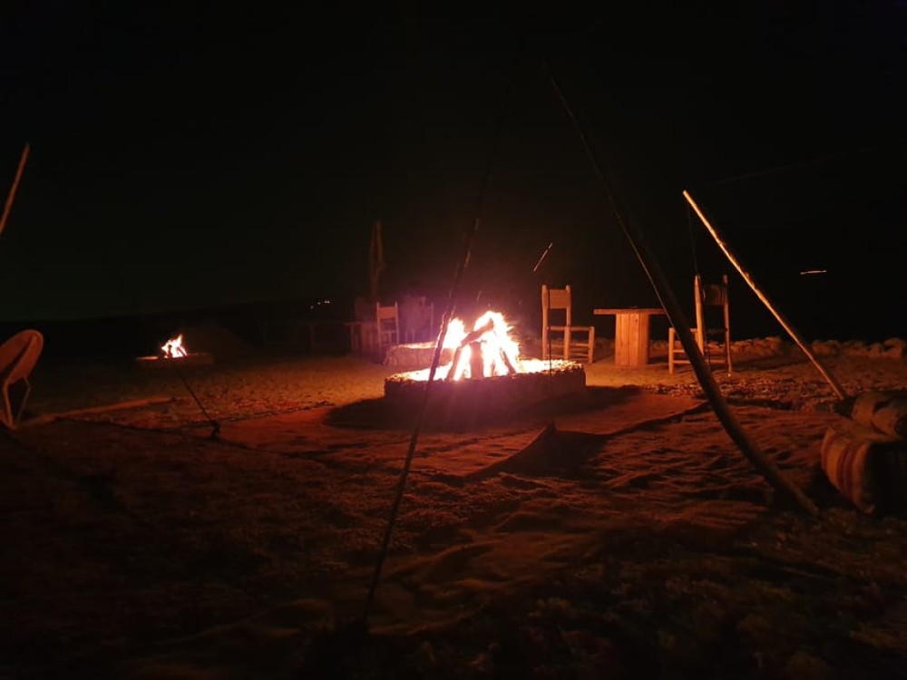 Marrakesh: Agafay Desert Quad & Camel Tour with Dinner | ®ExcursionMania