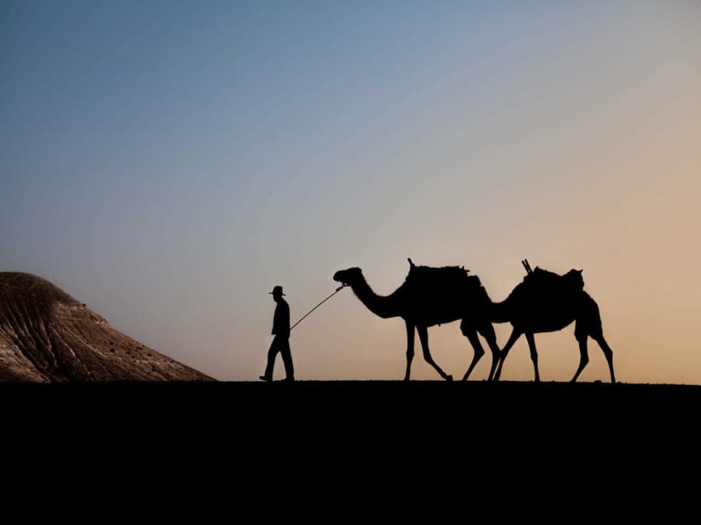 Marrakesh: Agafay Desert Quad & Camel Tour with Dinner | ®ExcursionMania