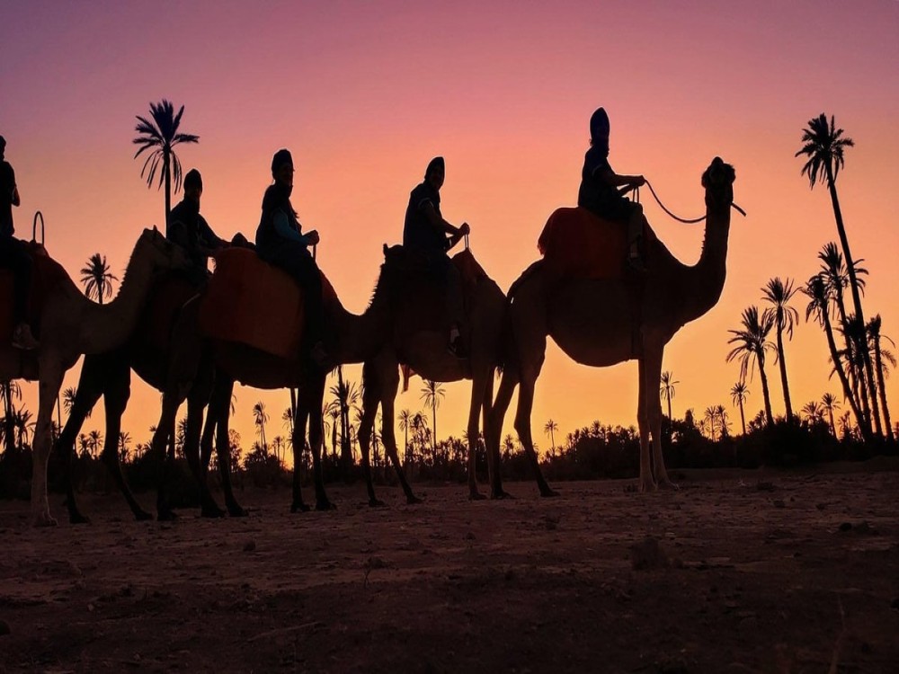 Marrakesh’s Magical Sunset Camel Safari Through Enchanting Palmeraie | ®ExcursionMania