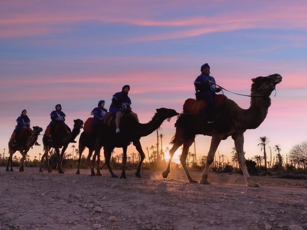Marrakesh’s Magical Sunset Camel Safari Through Enchanting Palmeraie | ®ExcursionMania