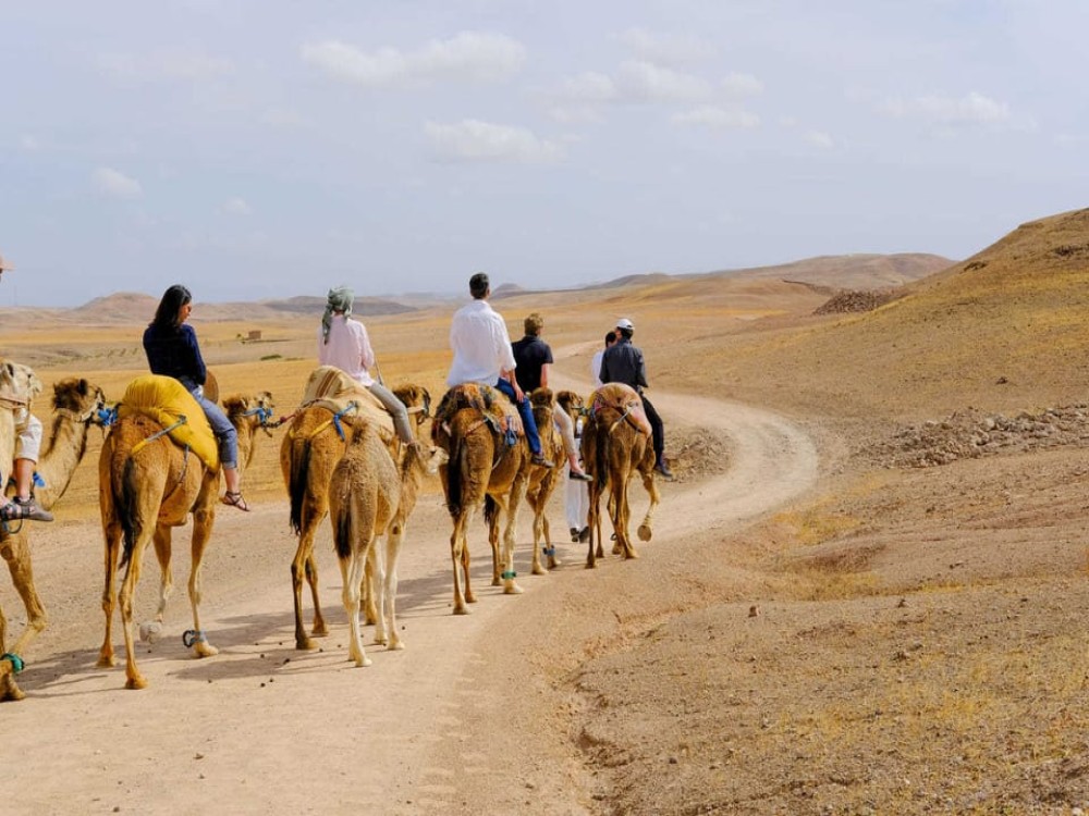 Agafay and Atlas: Quad and Camel Experience | ®ExcursionMania
