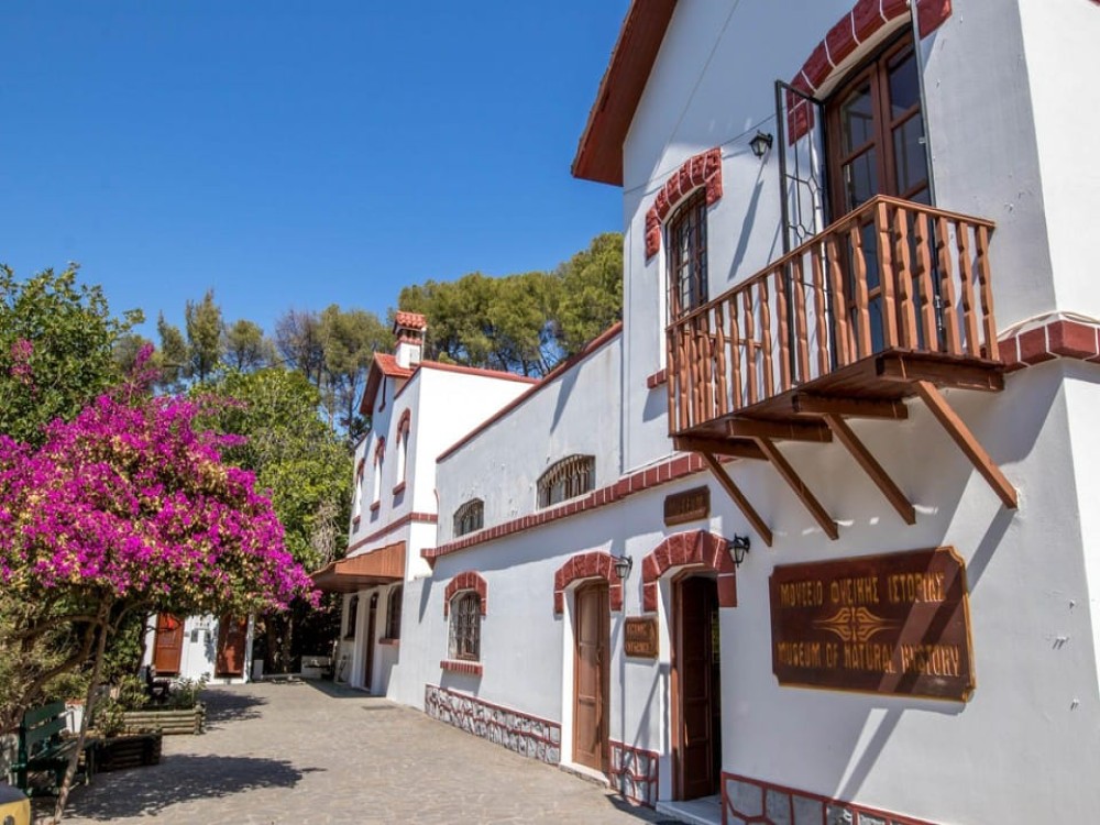 Private tour: Butterflies Valley & Lindos Village / FD | ®ExcursionMania